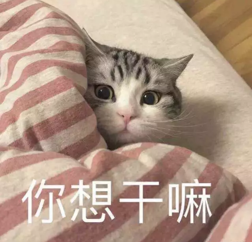 blob.png blob.png