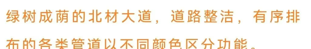 29.png 29.png